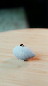 PHOTO-2026-01-05-12-05-42